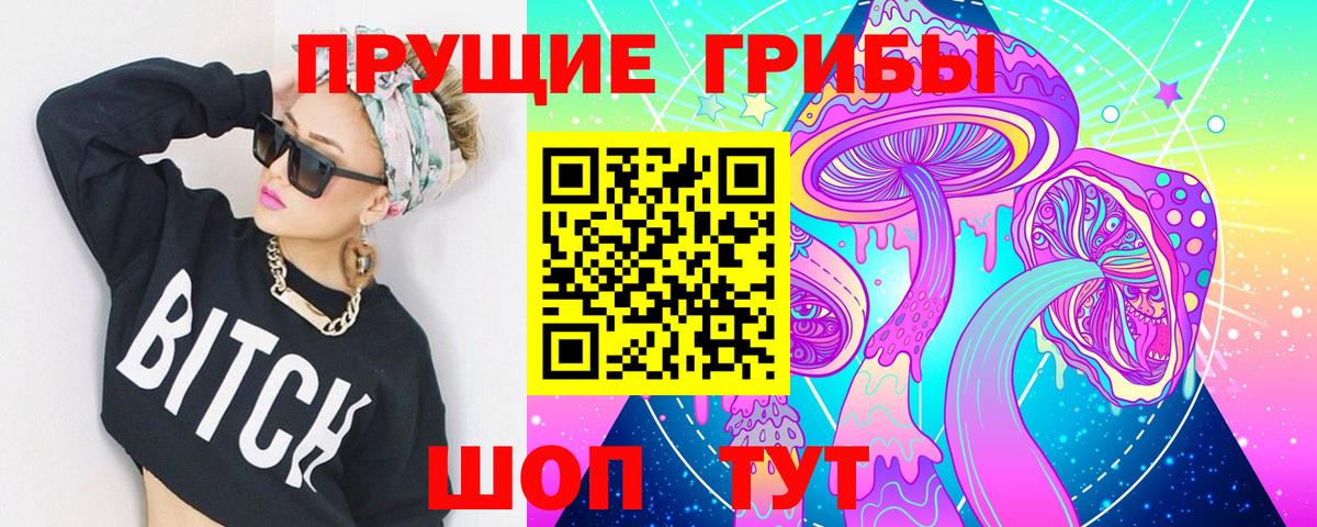 Псилоцибиновые грибы GOLDEN TEACHER Прокопьевск